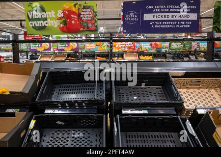 Leere Supermarktregale in einem ASDA-Geschäft. Die Vorräte an Tomaten und Paprika sind in vielen britischen Supermärkten knapp geworden. Stockfoto