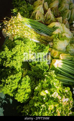 Frisches grünes Gemüse zum Verkauf auf dem Bauernmarkt in Jaco, Costa Rica Stockfoto
