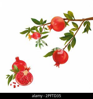 Aquarell Granatapfel. Handbemalte Granatfrucht auf dem Ast mit isolierten Blättern auf weißem Hintergrund. Aquarell, botanische Illustration, Flora-Design. Stockfoto