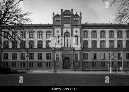 Die lebhafte Altstadt von Rostock in der Stockfoto