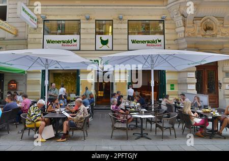 Wiener Wald, Goldschmiedgasse, Wien, Österreich Stockfoto