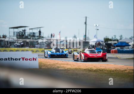 31 DERANI Pio (BRA), SIMS Alexander (gbr), AITKEN Jack (gbr), Whelen Engineering Cadillac Racing, Cadillac V-Series.R, Action während der Mobil 1 Twelve Hours of Sebring 2023, 2. Runde der IMSA SportsCar Championship 2023, vom 15. Bis 18. März 2023 auf dem Sebring International Raceway, Florida USA – Foto: Jan-patrick Wagner/DPPI/LiveMedia Stockfoto