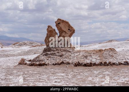 Dinosaurier Kopf der natürlichen Felsformation im Tal des Mondes (Valle de la Luna) in San Pedro de Atacama, Chile. Stockfoto