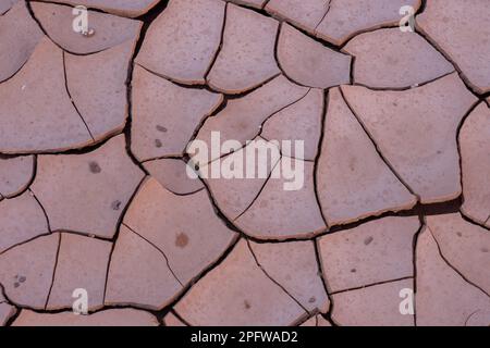 Nahaufnahme von getrocknetem braunem Schlamm mit Rissen und nassen Regentropfen auf der Oberfläche. Stockfoto