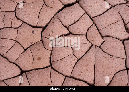 Nahaufnahme von getrocknetem braunem Schlamm mit Rissen und nassen Regentropfen auf der Oberfläche. Stockfoto