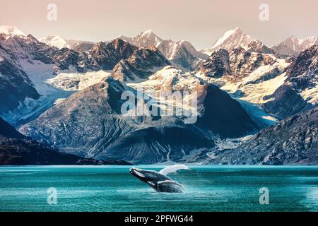 Alaska Walbeobachtung mit dem Boot. Insider Passage Mountain Range Landschaftsbild Luxus Reise Kreuzfahrt Konzept Stockfoto