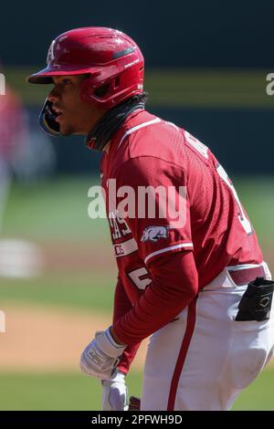 Die Platte. 18. März 2023. Razorback Batter Kendall Diggs #5 Passen Sie seine Schlaghandschuhe an, bevor Sie die Platte betreten. Arkansas besiegte Auburn 9-3 in Fayetteville, AR, Richey Miller/CSM/Alamy Live News Stockfoto