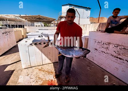 Frischer Gelbflossenthun auf dem Fischmarkt, Mutrah Souq, Muscat, Oman Stockfoto