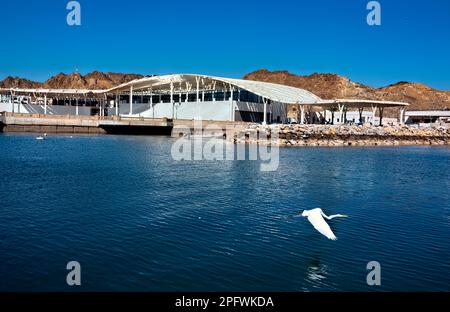 Blick auf den Fischmarkt und Mutrah Souk, Muscat, Oman Stockfoto