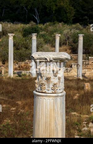 7. Juni 2022, Famagusta, Zypern: Säulen des Gymnasiums in Salamis mit mehreren römischen Bädern in der Nähe. Salamis war ein alter griechischer Stadtstaat an der Ostküste Zyperns, an der Mündung des Flusses Pedieos, nahe dem modernen Famagusta. Der Gründer von Salamis war Teucer, Sohn von Telamon, König der griechischen Insel Salamis, der nach dem Trojanischen Krieg nicht nach Hause zurückkehren konnte, weil er es versäumt hatte, seinen Bruder Ajax zu rächen. Archäologische Funde reichen bis ins 11. Jahrhundert v. Chr. zurück, späte Bronzezeit. Das „Kulturzentrum“ Salamis während der Römerzeit hat ein Gymnasium, Theater, Amphitheater, Stadion und Stockfoto