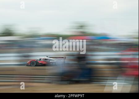 31 DERANI Pio (BRA), SIMS Alexander (gbr), AITKEN Jack (gbr), Whelen Engineering Cadillac Racing, Cadillac V-Series.R, Action während der Mobil 1 Twelve Hours of Sebring 2023, 2. Runde der IMSA SportsCar Championship 2023, vom 15. Bis 18. März 2023 auf dem Sebring International Raceway, Florida USA – Foto: Jan-patrick Wagner/DPPI/LiveMedia Stockfoto