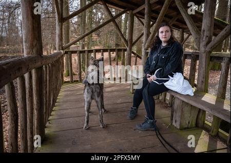 Eine Frau mit braunem lockigem Haar, die auf einer Holzbank sitzt und in die Kamera schaut und ihren akita inu Hund mit grauem Fell im Englischen Garten Eulbach Safa spaziert Stockfoto