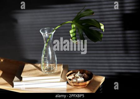 monstera Blatt in Vase, Bücher und Muscheln auf Bank Stockfoto