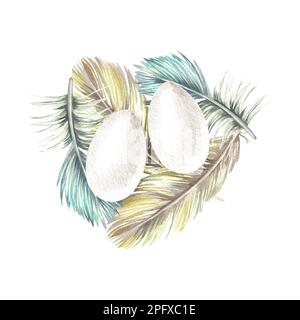 Vogeleier liegen auf Federn. Aquarelldarstellung. Isoliert auf weißem Hintergrund. Für Bo-Style-Drucke, Aufkleber, Vintage-Postkarten. Stockfoto