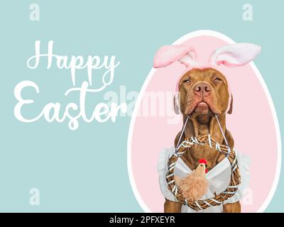 Süßes Hündchen, Korbkranz und Plüschtier Stockfoto