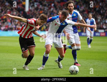 Sheffield, Großbritannien. 19. März 2023. Während des FA-Cup-Spiels in Bramall Lane, Sheffield. Der Bildausdruck sollte lauten: Simon Bellis/Sportimage Credit: Sportimage/Alamy Live News Stockfoto