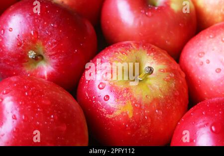 Ein Haufen frischer, reifer Äpfel mit Wassertropfen Stockfoto
