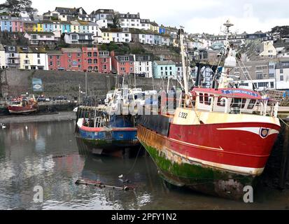Fischerboote in Brixham Harbour, Brixham, Devon, England, Großbritannien. Stockfoto