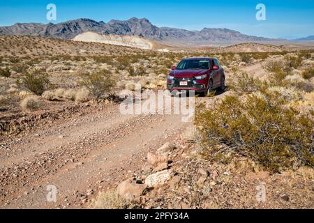 Muddy Mountains, Bitter Spring Trail, Bitter Spring Valley, in der Nähe des Lake Mead National Recreation Area, Nevada, USA Stockfoto