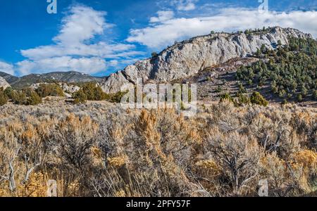 Kalksteinklippen, großer Sagebrush, in der Nähe der Narrows Passage auf der Steptoe Creek Road, Cave Lake State Park, Schell Creek Range, in der Nähe von Ely, Great Basin, Nevada Stockfoto