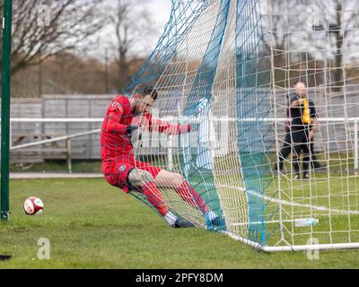 Der Torhüter Gurrrhs AFC fällt nach einem Torschuss in der NPL Premier League wieder ins Netz Stockfoto