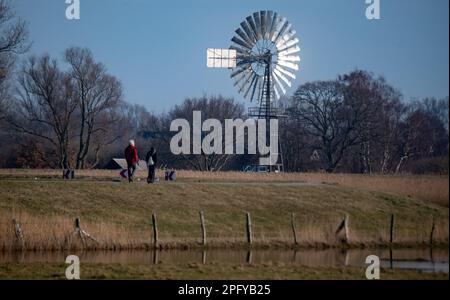 Lobbe, Deutschland. 19. März 2023. Eine 1920 erbaute Windschaufelanlage steht in der Nähe von Lobbe an einem Deich. Das technische Denkmal, eine von über 30 Windschaufeln, die zwischen 1900 und 1965 auf der Insel Rügen betrieben wurden, ist das einzige, das heute erhalten geblieben ist. Kredit: Stefan Sauer/dpa/Alamy Live News Stockfoto