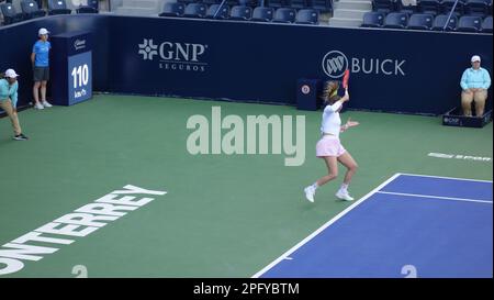 Quaterfinale in Monterrey Tennis Open WTA 250 Stockfoto