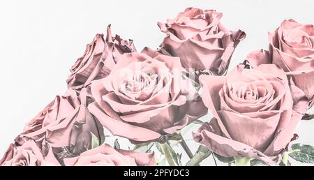 Ein Strauß rosa Rosen. Bemalte Abbildung. Stockfoto