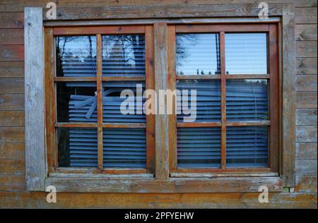 Ein Fenster in einem Gartenschuppen mit kaputten Jalousien. Das befleckte Holz hat auch bessere Tage erlebt Stockfoto