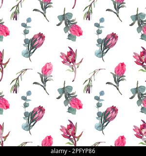 Wasserfarbenes, nahtloses Muster mit magentafarbenem protea, blühenden Blüten im Hintergrund und proteablättern. Stockfoto