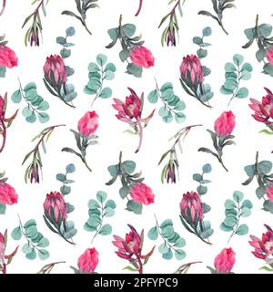 Wasserfarbenes, nahtloses Muster mit magentafarbenem protea, blühenden Blüten im Hintergrund und proteablättern. Stockfoto