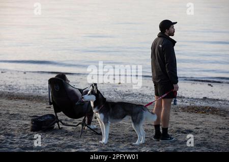 Seattle, Washington, USA. 19. März 2023. Ein junges Paar mit einem sibirischen Husky genießt warmes Frühlingswetter im Alki Beach Park. Kredit: Paul Christian Gordon/Alamy Live News Stockfoto