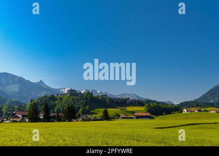 Burg Gruyeres inmitten von Wald- und Grünwiesen in Haut-Intyamon, Greyere, Freiburg, Schweiz. Stockfoto