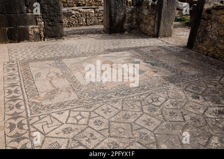 Mosaikboden im Haus der Reise der Venus - die Entführung der Hylas durch die Nymphen in Volubilis Marokko Stockfoto