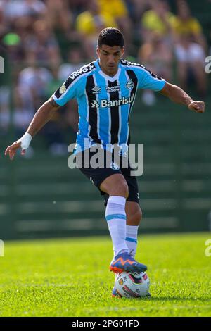 Erechim, Rio Grande Do Sul, Brasilien, 19. März 2023. Luis Suarez aus Gremio feiert sein Tor während des Spiels zwischen Ypiranga und Gremio für die Gaucho-Meisterschaft 2023 im Colosso da Lagoa Stadium in Erechim am 19. März. Foto: Richard Ducker/DiaEsportivo/DiaEsportivo/Alamy Live News Stockfoto