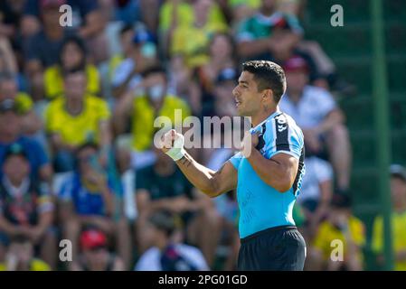 Erechim, Rio Grande Do Sul, Brasilien, 19. März 2023. Luis Suarez aus Gremio feiert sein Tor während des Spiels zwischen Ypiranga und Gremio für die Gaucho-Meisterschaft 2023 im Colosso da Lagoa Stadium in Erechim am 19. März. Foto: Richard Ducker/DiaEsportivo/DiaEsportivo/Alamy Live News Stockfoto