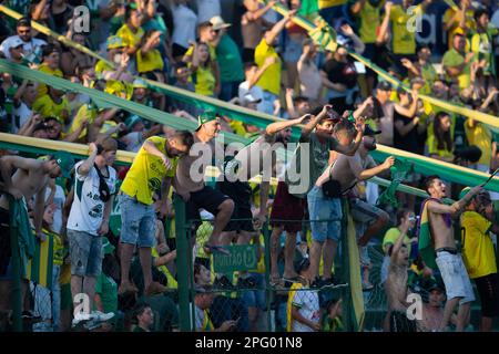 Erechim, Rio Grande Do Sul, Brasilien, 19. März 2023. Die Anhänger von Ypiranga feiern nach dem Spiel zwischen Ypiranga und Gremio einen Sieg für die Gaucho-Meisterschaft 2023 im Colosso da Lagoa Stadion in Erechim am 19. März. Foto: Richard Ducker/DiaEsportivo/DiaEsportivo/Alamy Live News Stockfoto