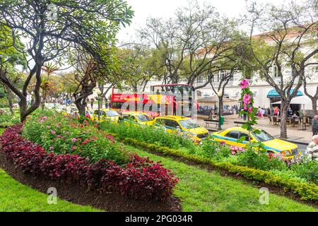 Jardim Municipal do Funchal, Avenue Arriaga, Funchal, Madeira, Portugal Stockfoto