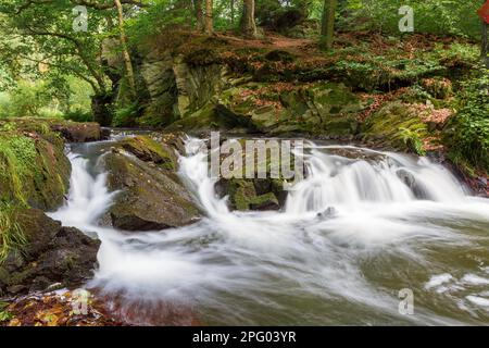 Naturerlebnis Selke-Wasserfall im wilden und romantischen Selke-Tal von Harz Stockfoto