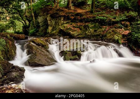 Naturerlebnis Selke-Wasserfall im wilden und romantischen Selke-Tal von Harz Stockfoto