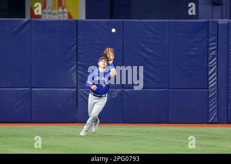 19. März 2023, St. Petersburg, Florida, USA; Toronto Blue Jays Right Fielder Daulton Varsho (25) fängt während eines MLB-Frühjahrstrainings wieder eine Pop-Fliege Stockfoto