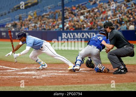 19. März 2023, St. Petersburg, Florida, USA; Tampa Bay Rays Shortstop Wander Franco (5) wird während eines MLB-Frühjahrstrainings gegen den To von einem Spielfeld getroffen Stockfoto