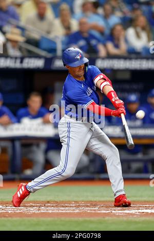 19. März 2023, St. Petersburg, Florida, USA; Toronto Blue Jays, zweiter Baseman Whit Merrifield (15), steht während eines MLB-Frühjahrstrainings aga auf dem Spielfeld Stockfoto