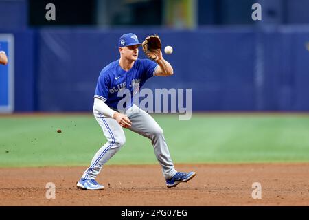 19. März 2023, St. Petersburg, Florida, USA; Toronto Blue Jays, dritter Baseman Matt Chapman (26), legt einen Ball des Schlägers von Tampa Bay Rays Right Fielder man Stockfoto