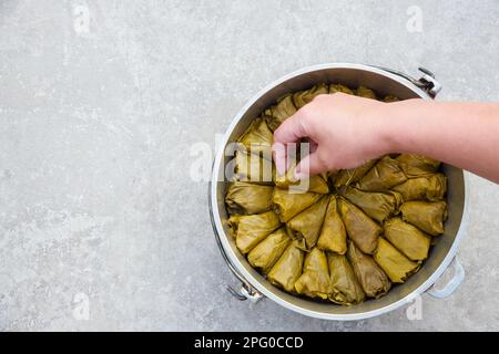 Östliches Gericht mit Reis und Kräutern gefüllt in Traubenblättern. Stockfoto