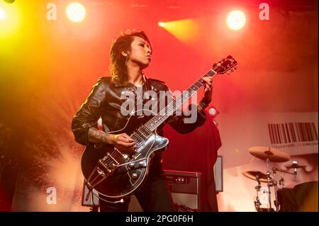 Slim Jim Phantom Trio tritt auf der St. Patricks Day im Barrowland Glasgow, unterstützt steife kleine Finger am 17. März 2023 Stockfoto