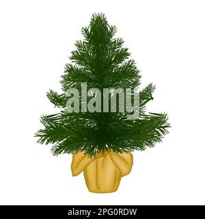 Kiefernbaum im Topfklipp Winter Design Element isoliert auf weißem Hintergrund für Muster, Dekoration, Planer Aufkleber, Sublimation und mehr. Stockfoto