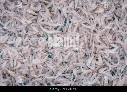 Jede Menge trockene Garnelen im Hintergrund zum Verkauf. Nahaufnahmen mit Pfahlstruktur in leuchtend hellrosa, blassen Farbtönen Stockfoto