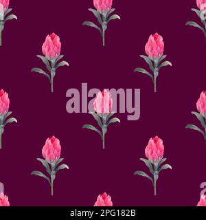 Wasserfarbenes, nahtloses Muster mit magentafarbenem protea, blühenden Blüten im Hintergrund und proteablättern. Stockfoto