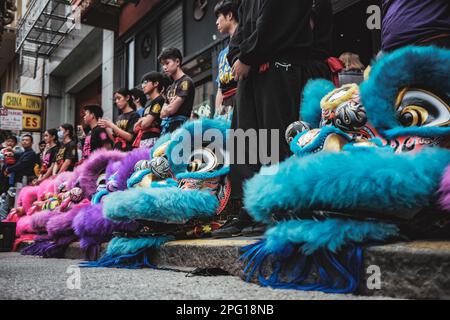 Ein Löwenkopf aus nächster Nähe mit komplexen Details und leuchtenden Farben, die während der Löwentanzshow über den Darstellern zu sehen waren. Die Straßen von San Franciscos Chinatown waren voller Aufregung, als die alljährliche Löwentanzshow am Samstag stattfand. Die Show, die ein traditionelles chinesisches Neujahrsfest ist, zeigte Dutzende von Künstlern in bunten Löwenkostümen. Die Chinesische Vereinigung der Wohltätigkeitsorganisationen organisierte die Veranstaltung. Diese lokale Gruppe arbeitet daran, die chinesische Kultur in San Francisco zu erhalten und zu fördern. Die Lion Dance Show war ein Grundstück des chinesischen New Ye Stockfoto